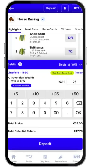 Enter Stake and Confirm